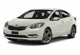 14 forte stock